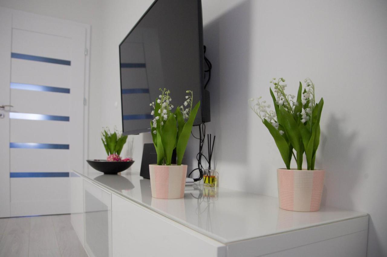 Apartament Wroclaw Borowska Ngoại thất bức ảnh